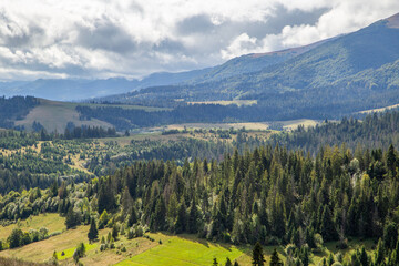 Fototapeta premium coniferous forest and hills on a background of mountains sky in the clouds. Countryside .