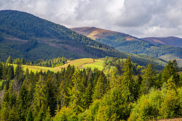 Obraz premium forest and hills on a background of mountains in the clouds.