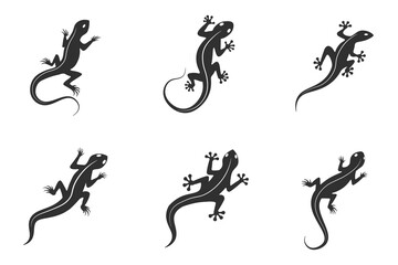 Lizard chameleon, gecko logo or icon vector design template - obrazy, fototapety, plakaty