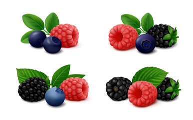 Mix of wild berries – raspberry, blackberry, blueberry and bilberry with green leaves, isolated on white background. Realistic vector illustration.