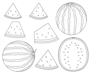 Watermelon graphics black and white coloring vector illustration