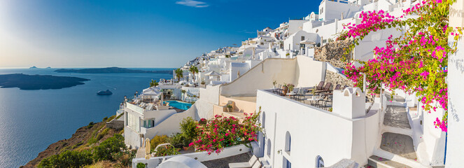 Summer vacation panorama, luxury famous Europe destination. White architecture in Santorini island, Greece. Travel landscape cityscape with pink flowers, stairs, caldera view in sunlight and blue sky