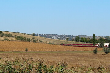 Obraz premium OLYMPUS DIGITAL CAMERA