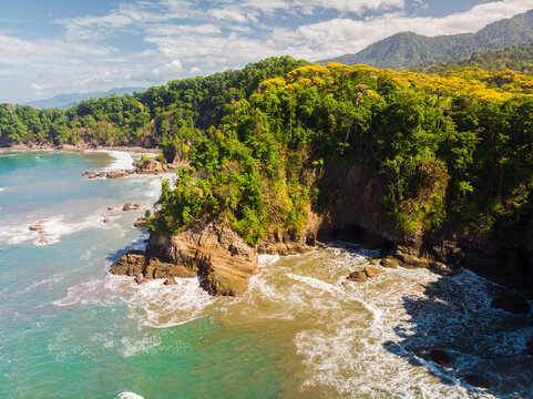 Uvita 이미지 – 찾아보기 1,273 스톡 사진, 벡터 및 비디오 | Adobe Stock