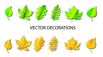 Obraz premium Autumn leaves with watercolor texture. Birch, oak, maple, mountain ash, chestnut. Set of vector decorations.
