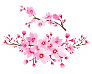 Watercolor clipart Sakura, Cherry Branches, Blossom, Branches .Sakura Wreaths, Watercolor floral clipart. © AnaNas