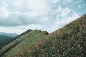Berggrat im Allgäu