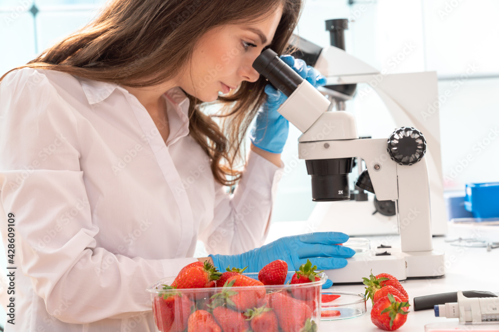 Wall mural Quality inspection of  food  Checking the content of nitrates and herbicides in strawberries