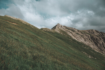 Berggrat im Allg&auml;u