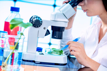 Fototapeta premium Young woman with microscope in GMO laboratory. Study of green plant of agricultural plants with a microscope