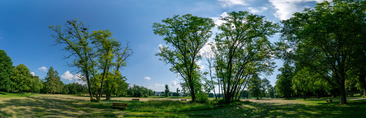 Summer park panorama on a sunny day
