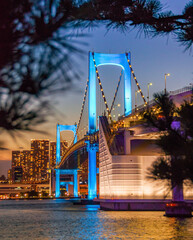 Cityscape view of Tokyo Bay and Rainbow bridge at Sunset