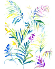 Flowers watercolor illustration.Manual composition.Big Set watercolor elements，Design for textile, wallpapers，Element for design,Greeting card