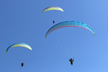 Paragliders flying wings in a blue sky