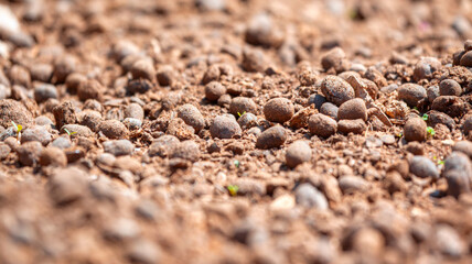 Pile of fresh manure on rural agricultural field