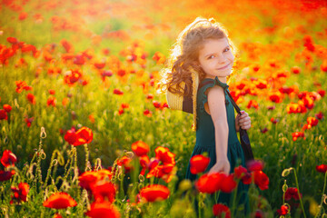 Naklejka na ściany i meble beautiful girl in poppy field enjoys the beauty and aromas.