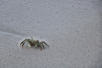 Scene from Seychelles