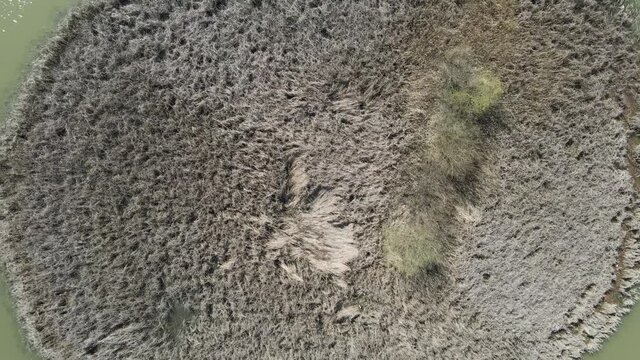 Aerial view over a small island in a middle of a lake