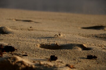 Scene from Seychelles