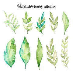 Watercolor leaves collection