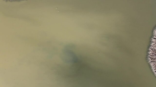 Aerial view over a small island in a middle of a lake