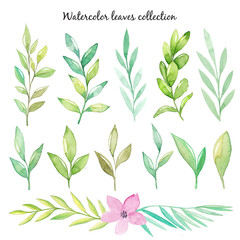 Watercolor leaves collection