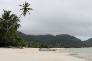Scene from Seychelles