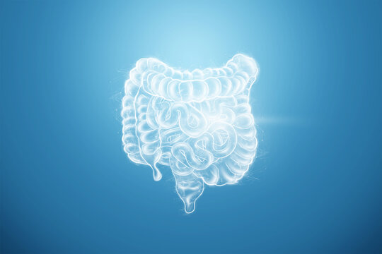 Intestines hologram on a blue background. Constipation concept, bowel disorder, body scan, digital x-ray, abdominal organs. 3D illustration, 3D render.