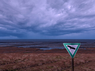 Birds nature reserve.North Sea.Sankt Peter-Ording.Germany.