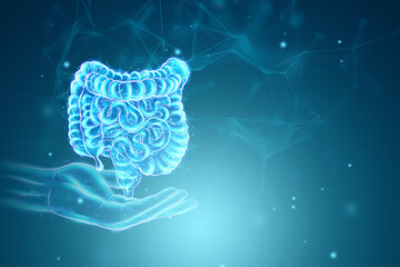 A holographic projection of a scan of the intestine on a blue background. Concept of new technologies, bowel disorder, body scan, digital x-ray, modern medicine. 3D illustration, 3D render. - obrazy, fototapety, plakaty