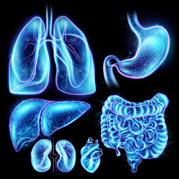 Human internal organs scan holographic projection isolated on black background. The concept of modern medicine, digital x-ray, new technologies, human anatomy. 3D illustration, 3D render.