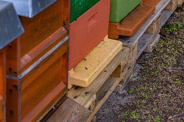 Nahaufnahme von vielen Honigbienen in ihrer Bienenbox