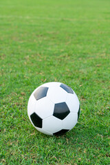 Fototapeta premium Soccer ball on the ball field