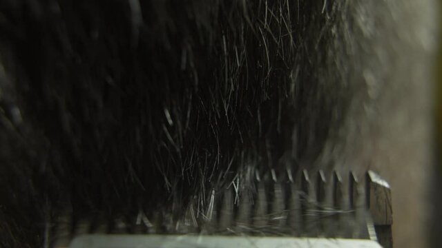 Close-up plan of a hair clipper. Trimmer cuts gray hair from a man's head in a beauty salon. Slow motion 4K video of home haircut.