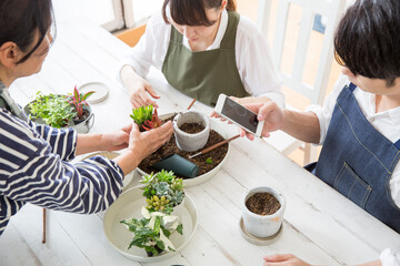 多肉植物の栽培を楽しむ若い日本人夫婦、ガーデニング、趣味