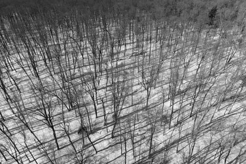 Aerial view of woodland in Michigan upper peninsula during winter time
