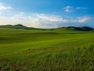 A panoramic view on a hilly landscape of Xilinhot in Inner Mongolia. Endless grassland with a few...