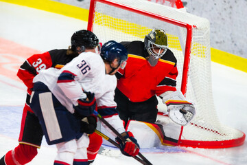 Professional ice hockey players