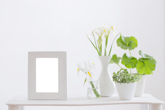 white frame, green plants  and spring flowers on shelf on white background