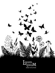 Floral background with herbs, flowers and butterflies. Spring or summer background.