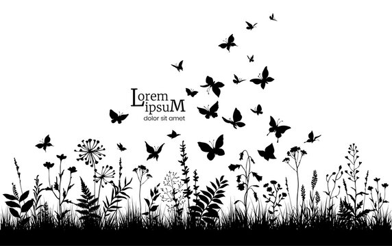 Floral background with black silhouettes of herbs, flowers and butterflies. Spring or summer background.