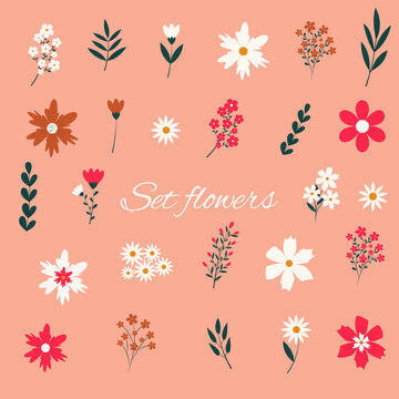 A set of plant icons. Flat illustration of greenery, flowers, daisies, bluebells. Natural floral element of the design of postcards, posters, greetings. Isolated on a light background. Doodle vector i