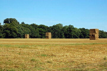 Three stacks of straw