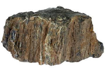 petrified wood from Kaiserslautern, Germany isolated on white background