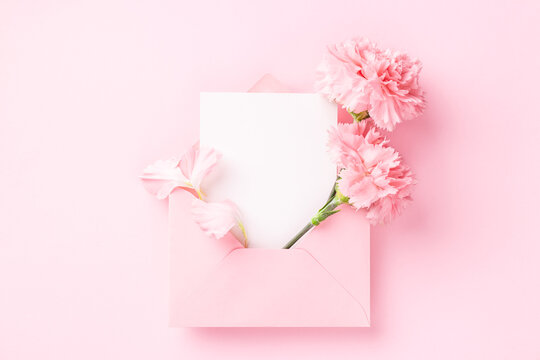 Blank card in pink envelope with carnations on pink background.