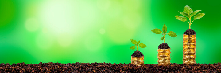 growing plants on stacked coins shows financial success