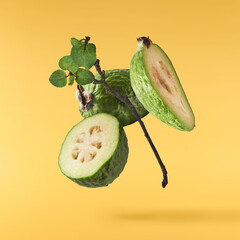 Fresh raw feijoa with green leaves falling in the air