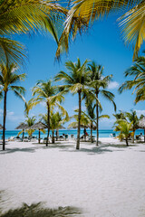 Palm Beach Aruba Caribbean, white long sandy beach with palm trees at Aruba Antilles