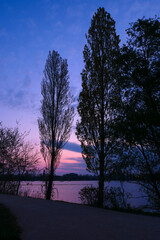 Fototapeta na wymiar Sunrise or sunset over a lake. Silhouette of cypress trees at the water's edge. 