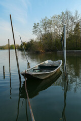 Obraz premium Abandoned rowing boat, isolated on a lake. Wooden rowboat on water.